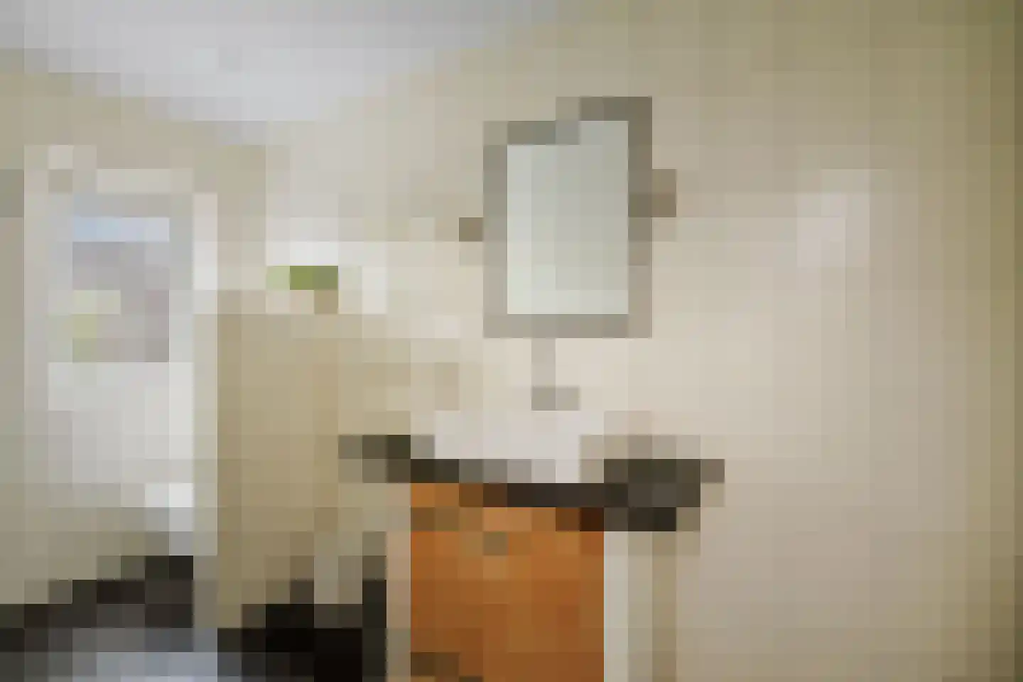 Berkenschakel 20 Bathmen thumbnail 32