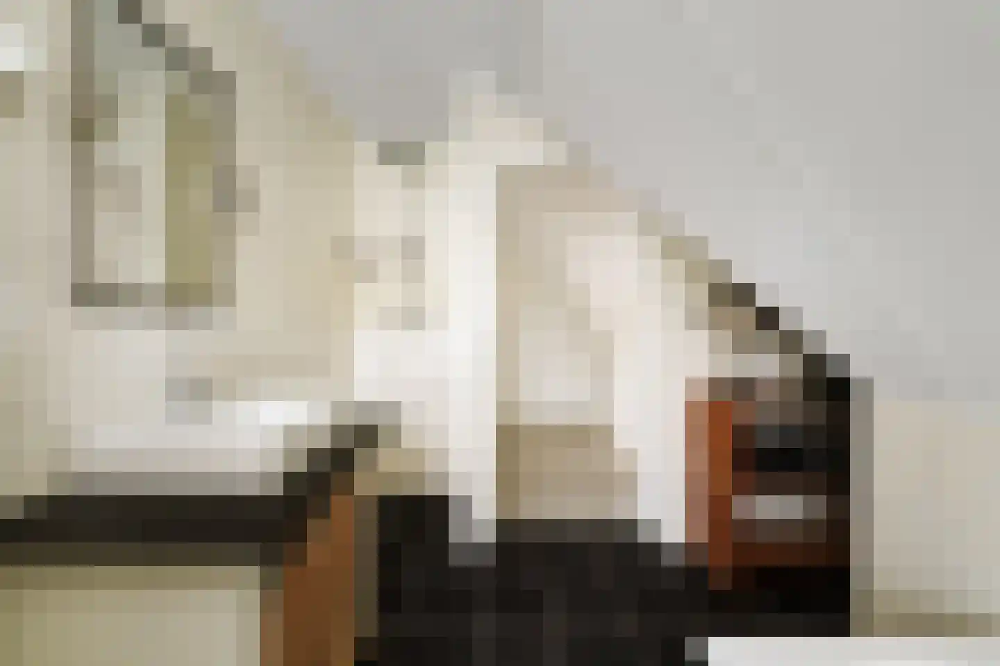 Berkenschakel 20 Bathmen thumbnail 33