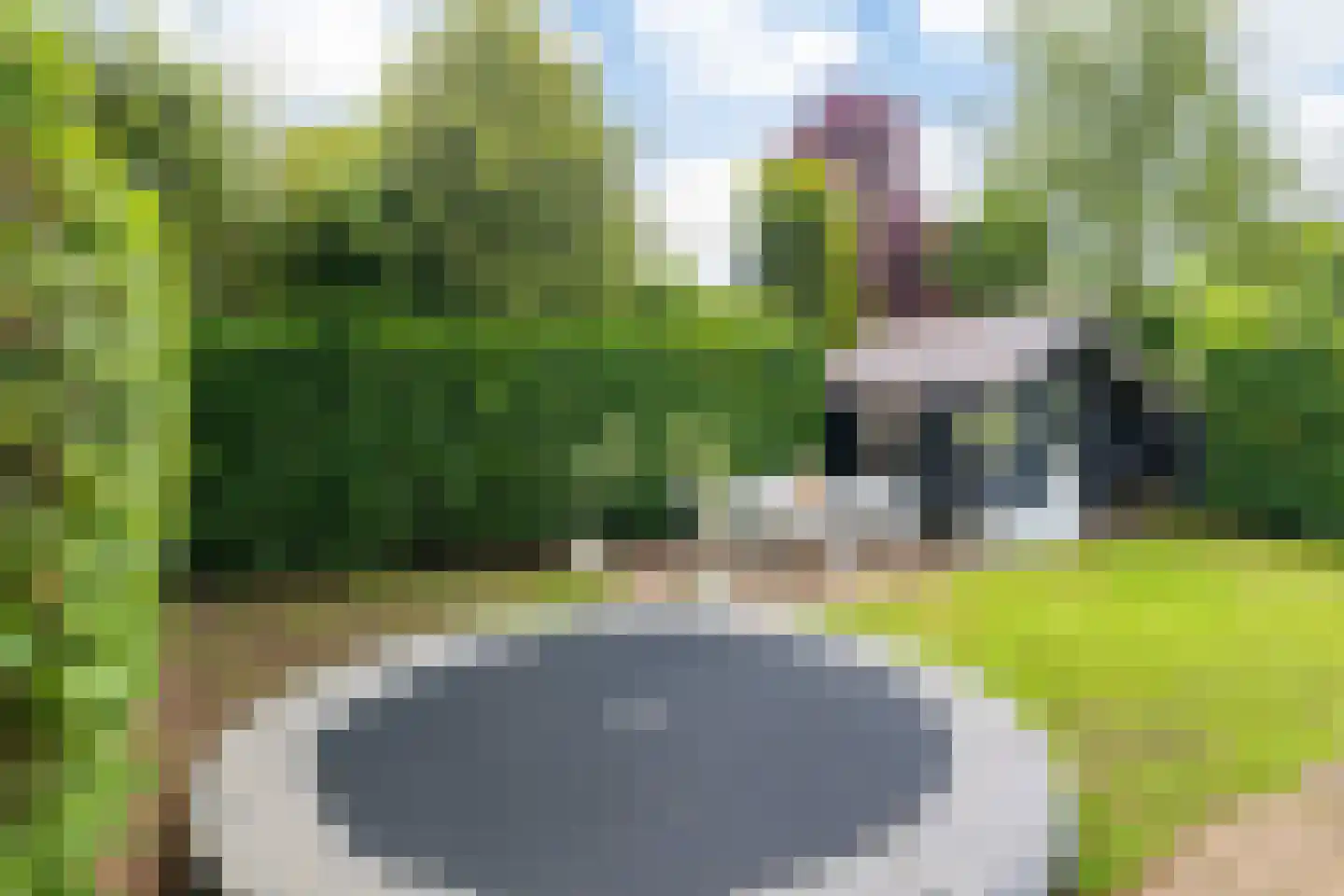 Berkenschakel 20 Bathmen thumbnail 36