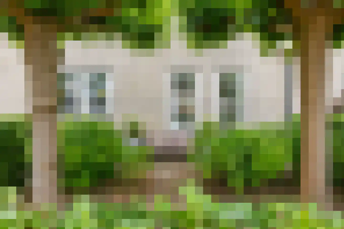 Berkenschakel 20 Bathmen thumbnail 39