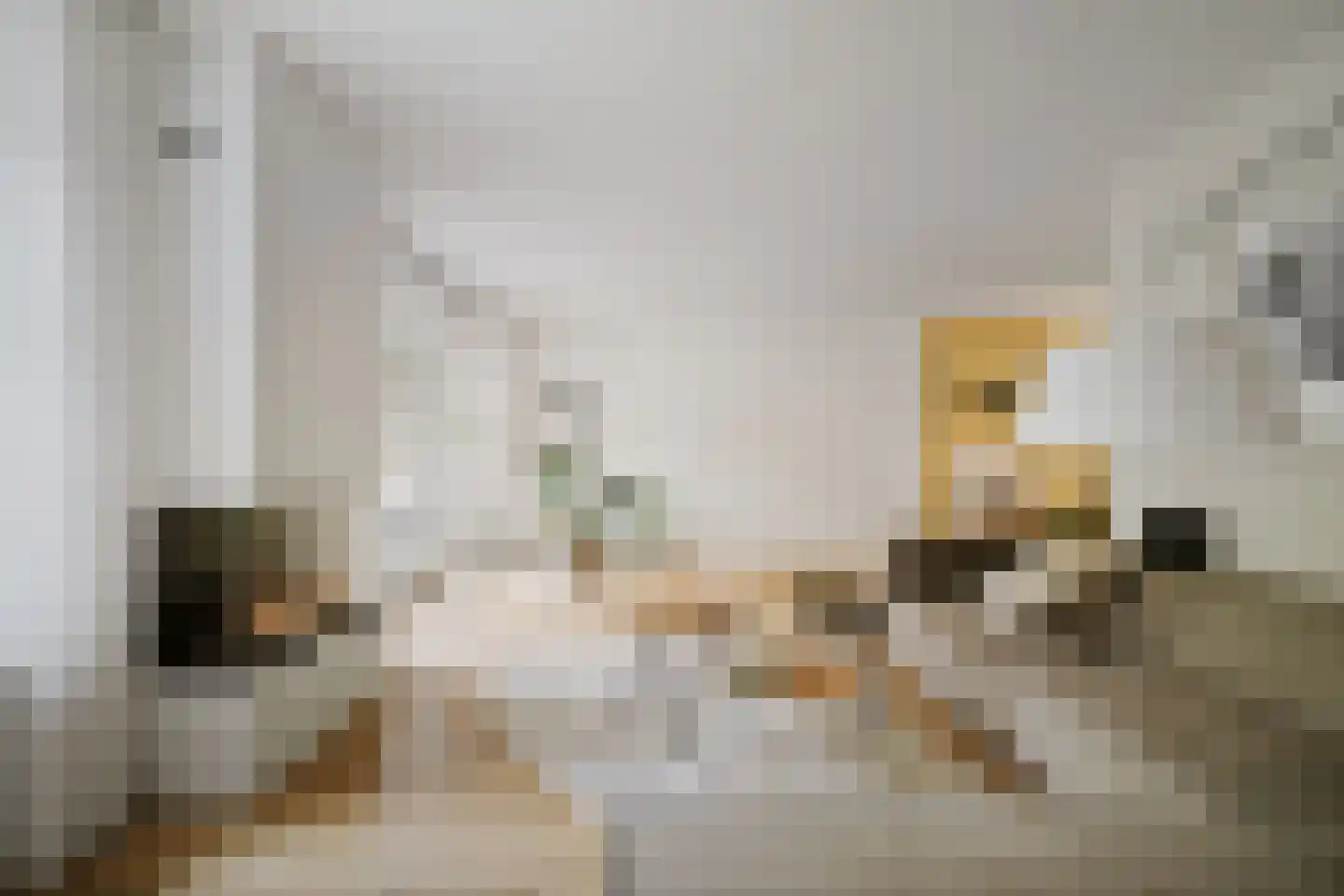 Berkenschakel 20 Bathmen thumbnail 4