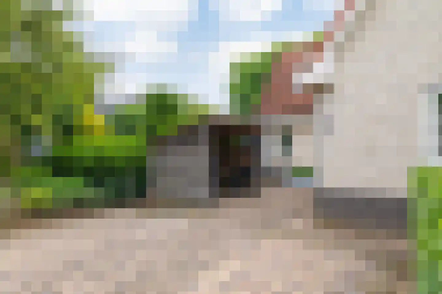 Berkenschakel 20 Bathmen thumbnail 40