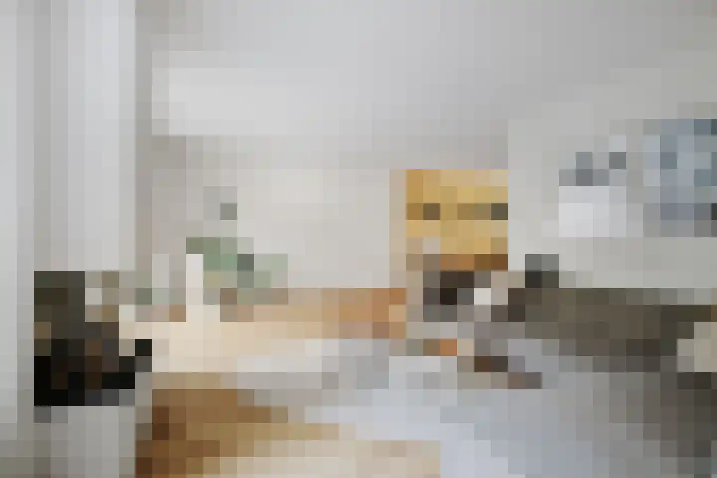 Berkenschakel 20 Bathmen thumbnail 5