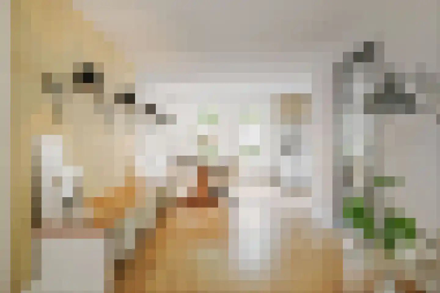 Berkenschakel 20 Bathmen thumbnail 6