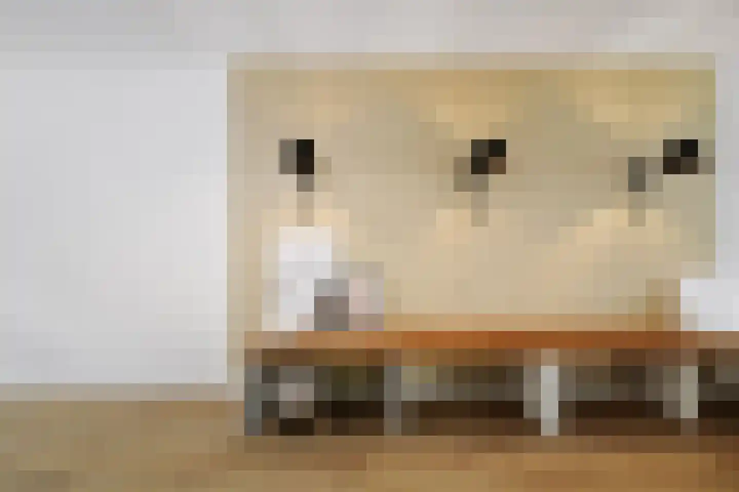 Berkenschakel 20 Bathmen thumbnail 7