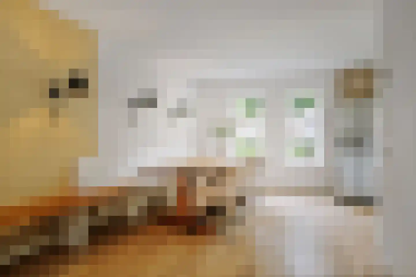 Berkenschakel 20 Bathmen thumbnail 8