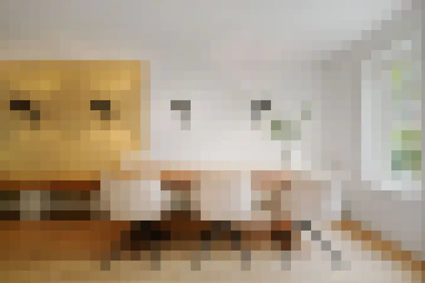 Berkenschakel 20 Bathmen thumbnail 9