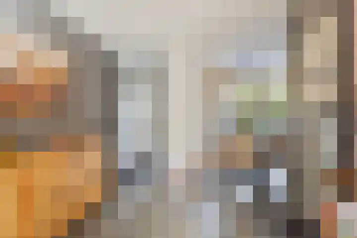 Berkenschakel 35 Bathmen thumbnail 10