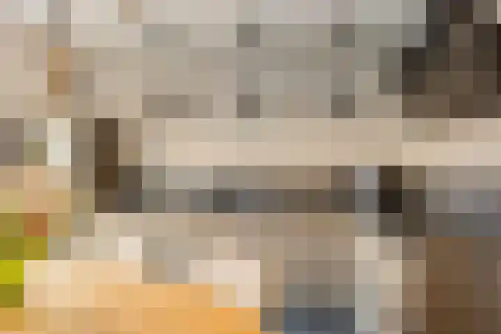 Berkenschakel 35 Bathmen thumbnail 12