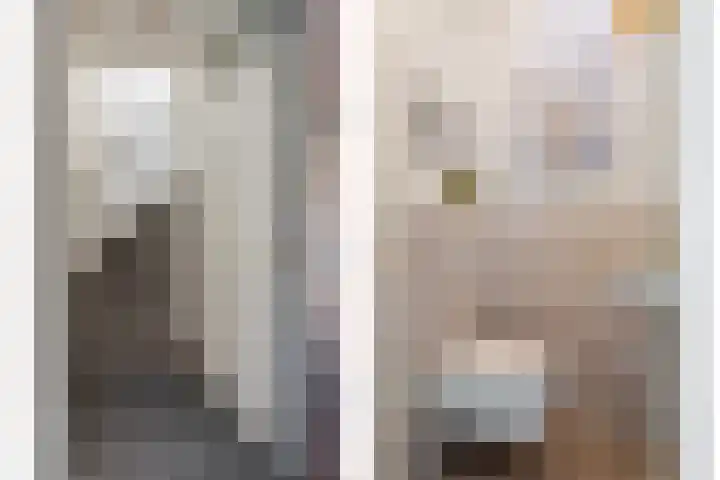 Berkenschakel 35 Bathmen thumbnail 14