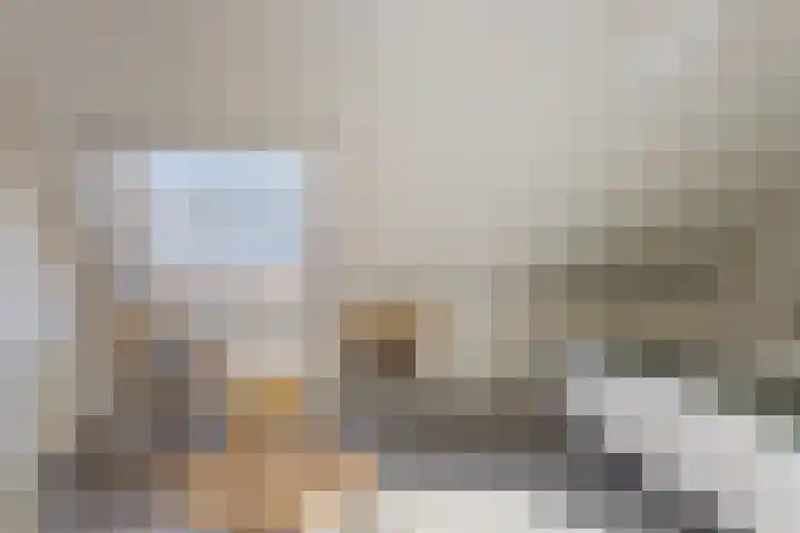 Berkenschakel 35 Bathmen thumbnail 16