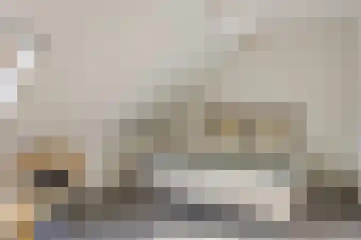 Berkenschakel 35 Bathmen thumbnail 17