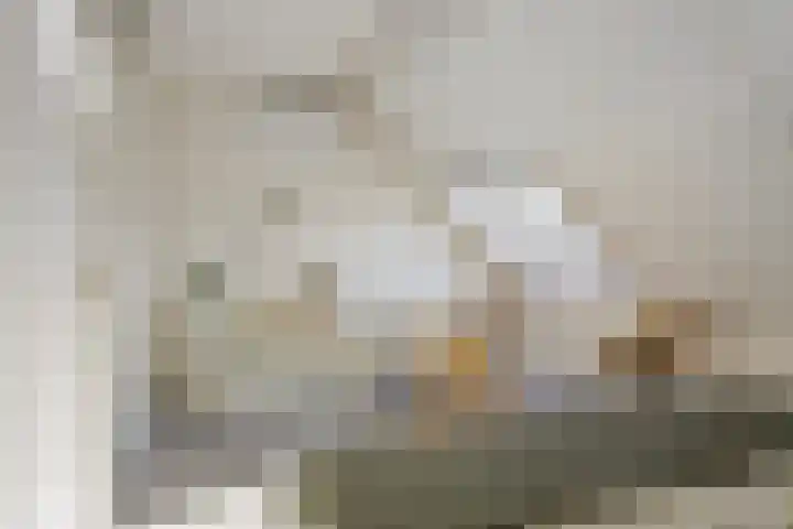 Berkenschakel 35 Bathmen thumbnail 18