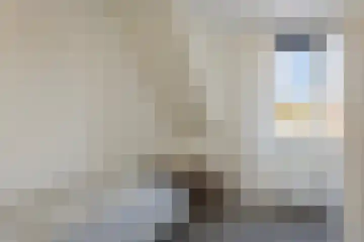 Berkenschakel 35 Bathmen thumbnail 19