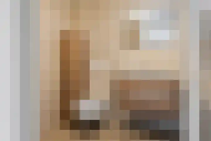Berkenschakel 35 Bathmen thumbnail 22