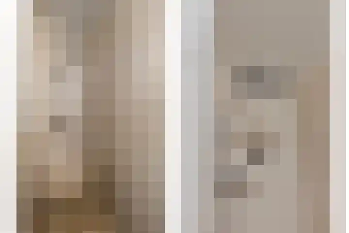 Berkenschakel 35 Bathmen thumbnail 23