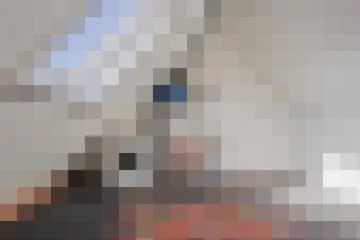 Berkenschakel 35 Bathmen thumbnail 25
