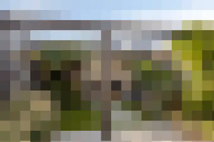 Berkenschakel 35 Bathmen thumbnail 27
