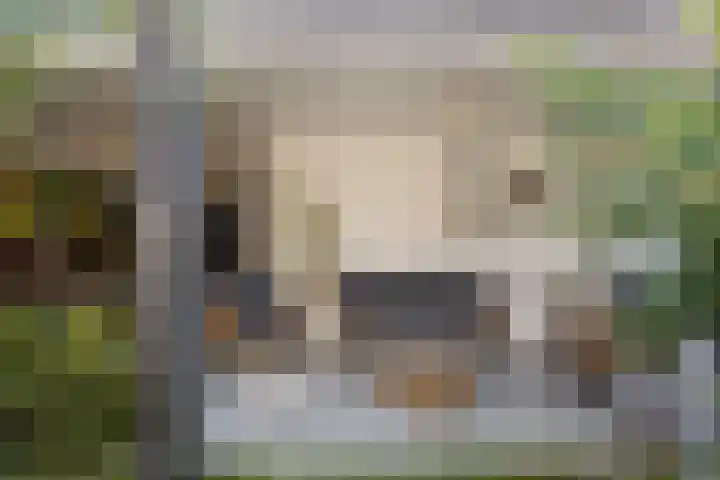 Berkenschakel 35 Bathmen thumbnail 29