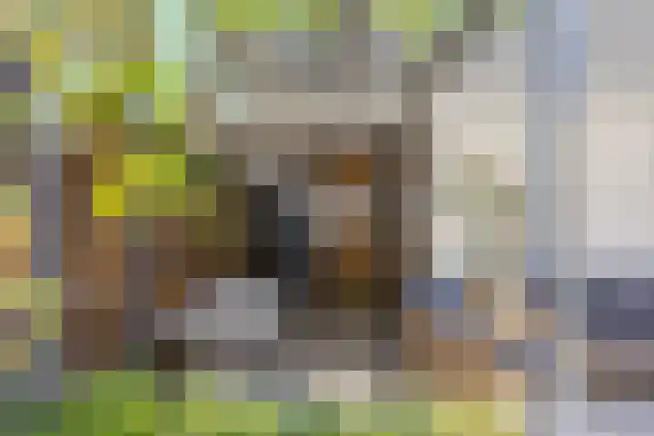 Berkenschakel 35 Bathmen thumbnail 30