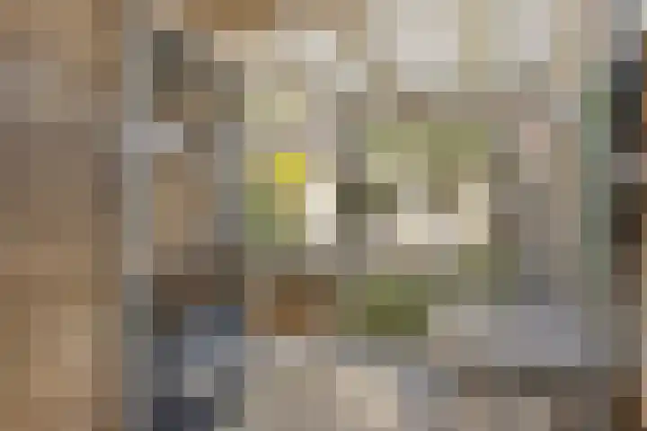 Berkenschakel 35 Bathmen thumbnail 31