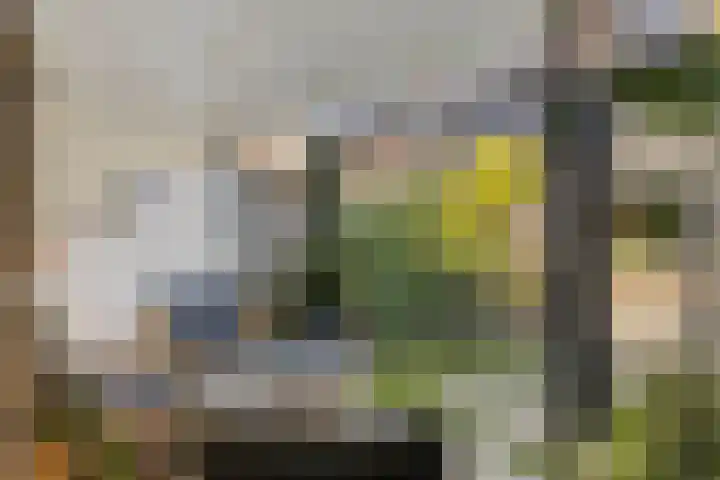 Berkenschakel 35 Bathmen thumbnail 32