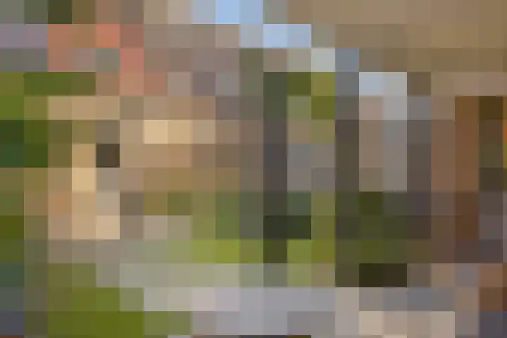 Berkenschakel 35 Bathmen thumbnail 33