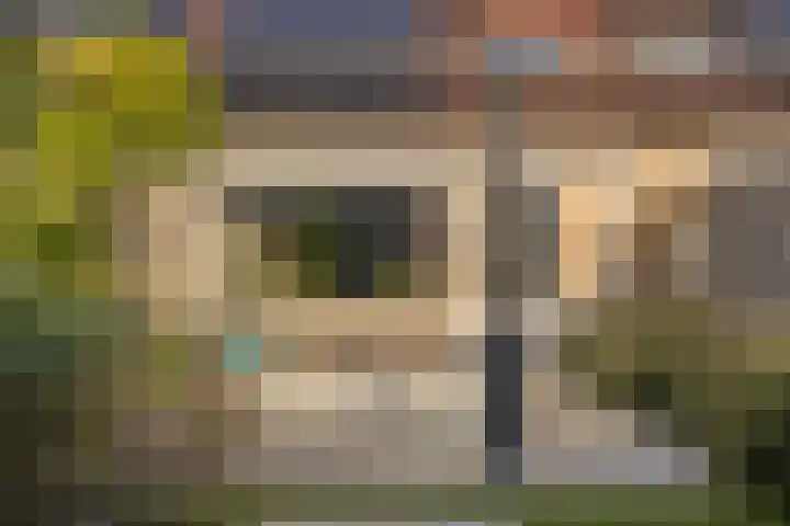 Berkenschakel 35 Bathmen thumbnail 34