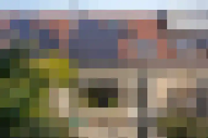 Berkenschakel 35 Bathmen thumbnail 35
