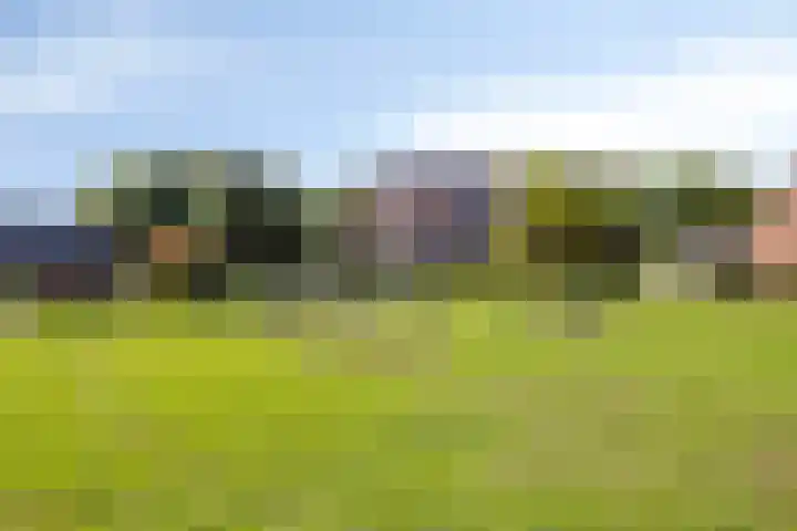 Berkenschakel 35 Bathmen thumbnail 39