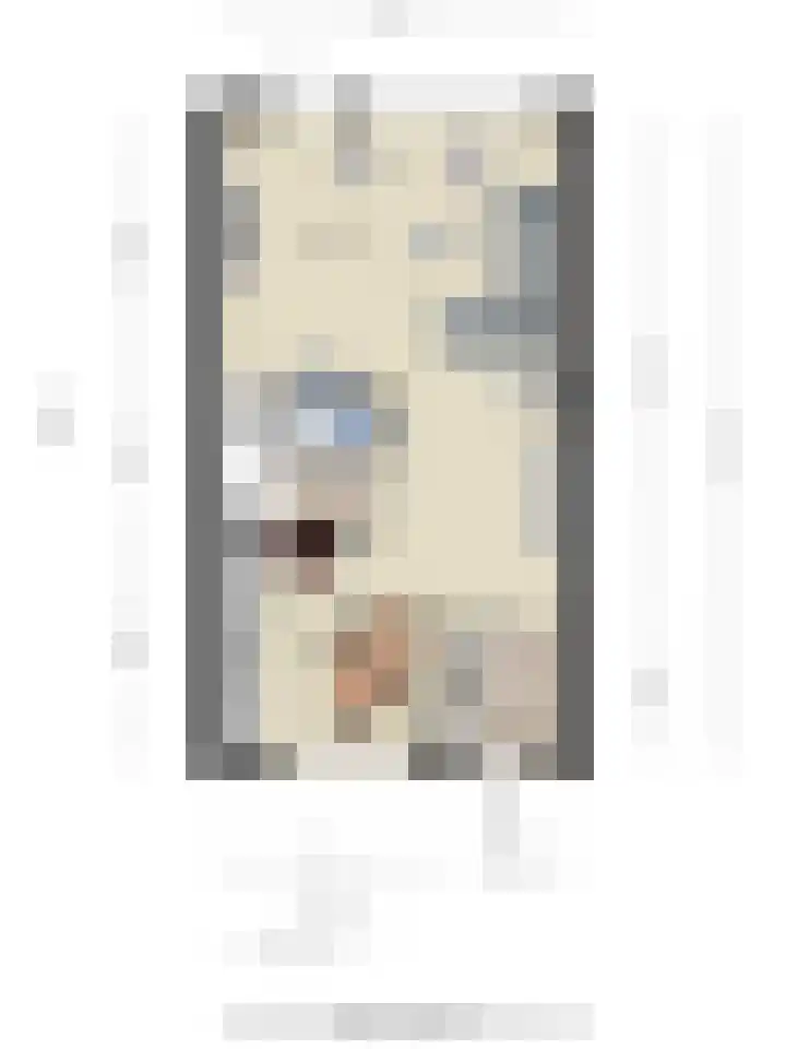 Berkenschakel 35 Bathmen thumbnail 40