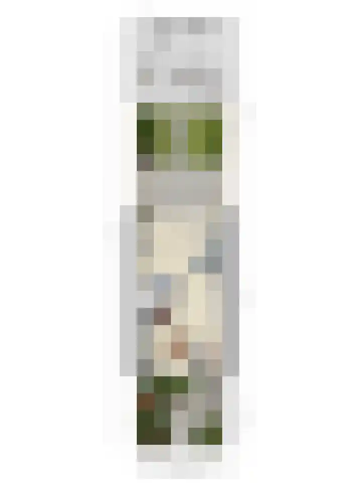 Berkenschakel 35 Bathmen thumbnail 44