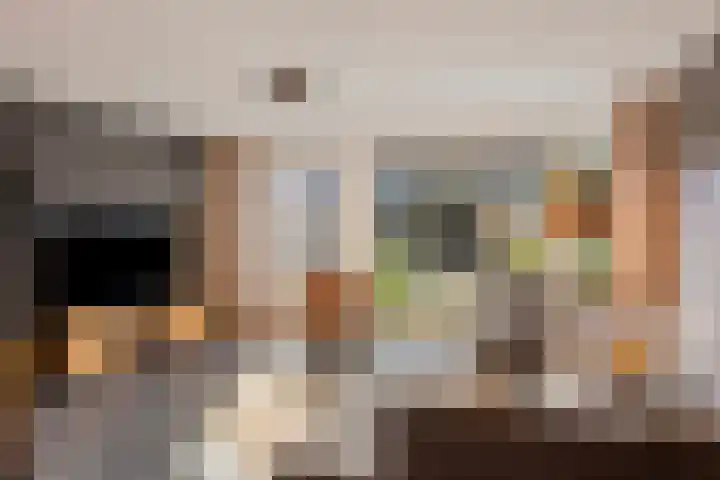 Berkenschakel 35 Bathmen thumbnail 6
