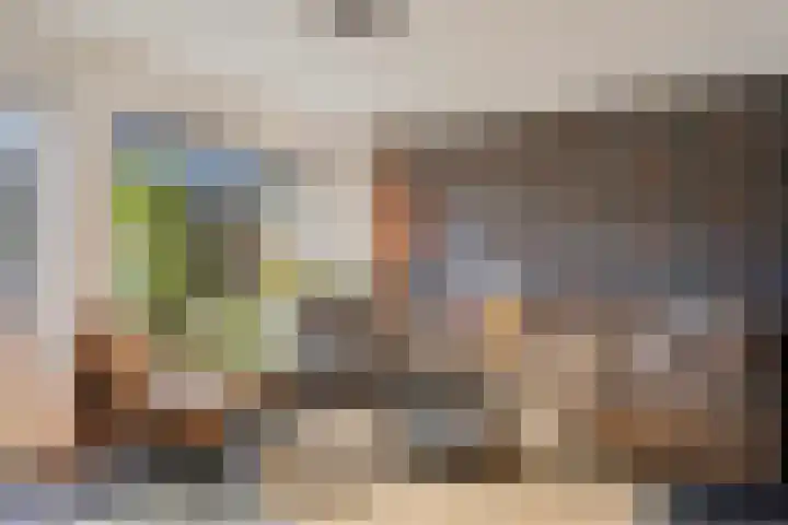 Berkenschakel 35 Bathmen thumbnail 7