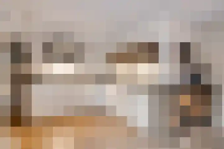 Berkenschakel 42 Bathmen thumbnail 11