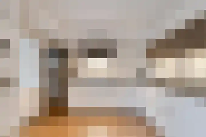 Berkenschakel 42 Bathmen thumbnail 12