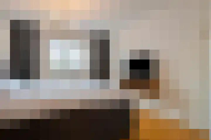 Berkenschakel 42 Bathmen thumbnail 22
