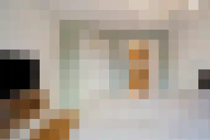 Berkenschakel 42 Bathmen thumbnail 23