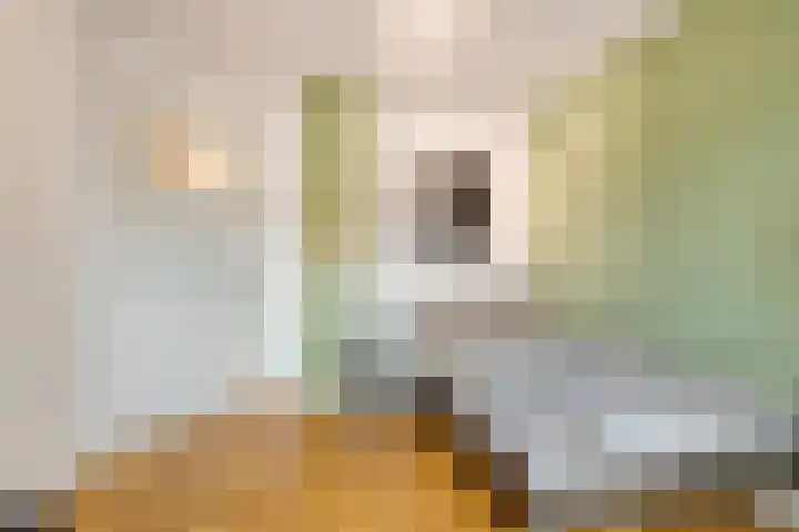 Berkenschakel 42 Bathmen thumbnail 26