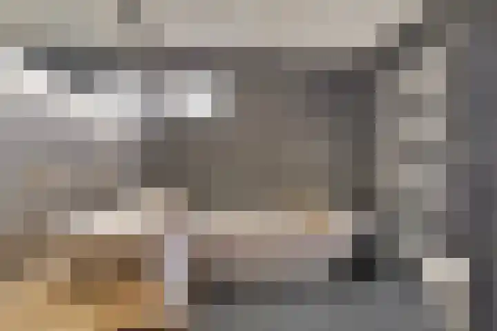 Berkenschakel 42 Bathmen thumbnail 30