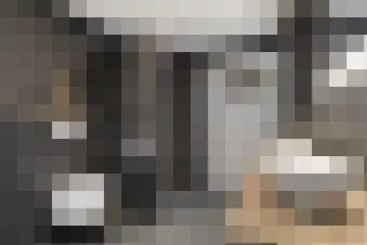 Berkenschakel 42 Bathmen thumbnail 31