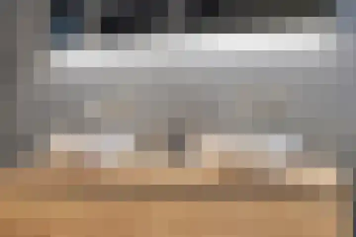 Berkenschakel 42 Bathmen thumbnail 32