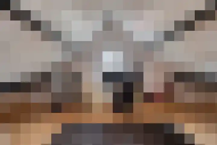 Berkenschakel 42 Bathmen thumbnail 38