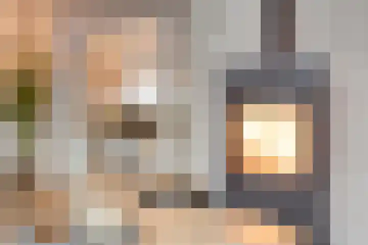 Berkenschakel 42 Bathmen thumbnail 4