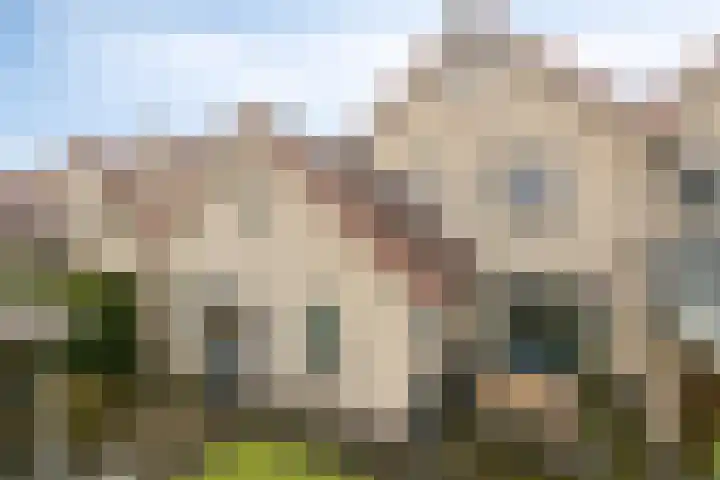 Berkenschakel 42 Bathmen thumbnail 40