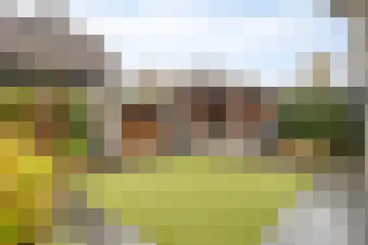 Berkenschakel 42 Bathmen thumbnail 41