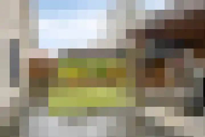 Berkenschakel 42 Bathmen thumbnail 42