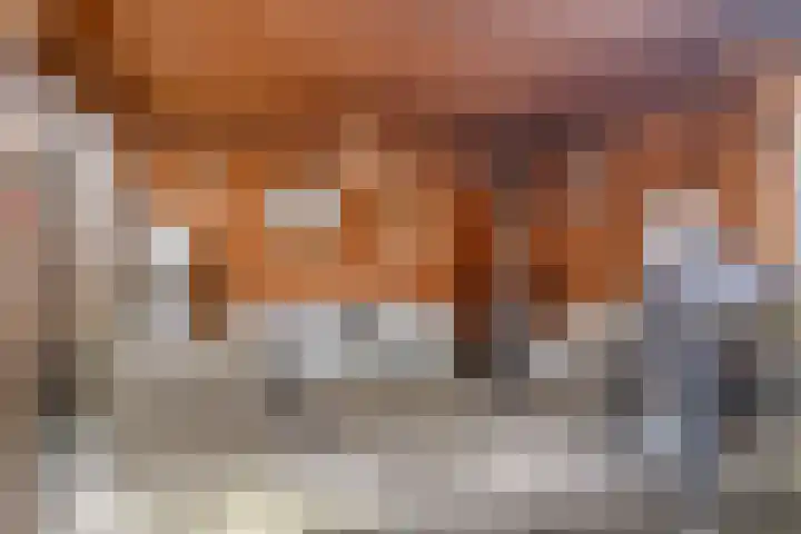 Berkenschakel 42 Bathmen thumbnail 45