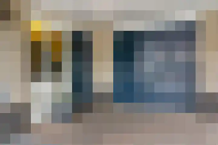 Berkenschakel 42 Bathmen thumbnail 48