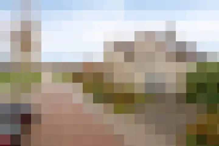 Berkenschakel 42 Bathmen thumbnail 49